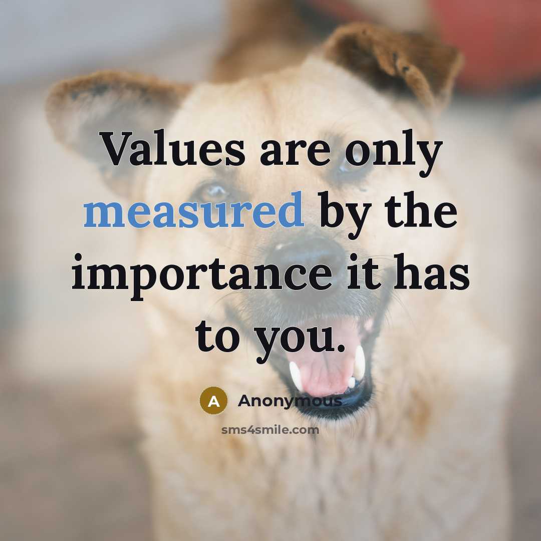 “Values are only measured by the importance it has to you.” quote by Anonymous
