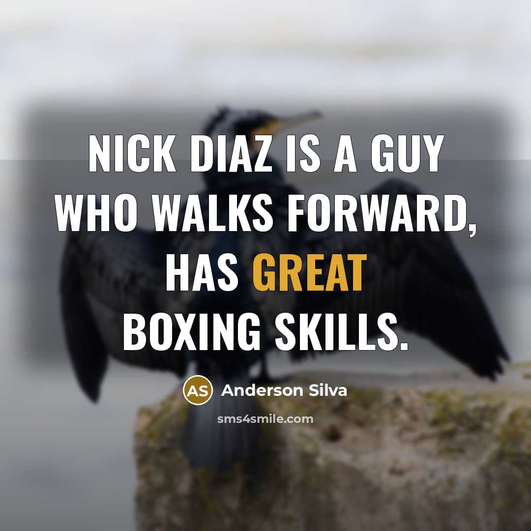 “Nick Diaz is a guy who walks forward, has great boxing skills.” quote by Anderson Silva