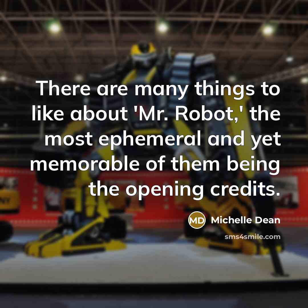 “There are many things to like about 'Mr. Robot,' the most ephemeral and yet memorable of them being the opening credits.” quote by Michelle Dean