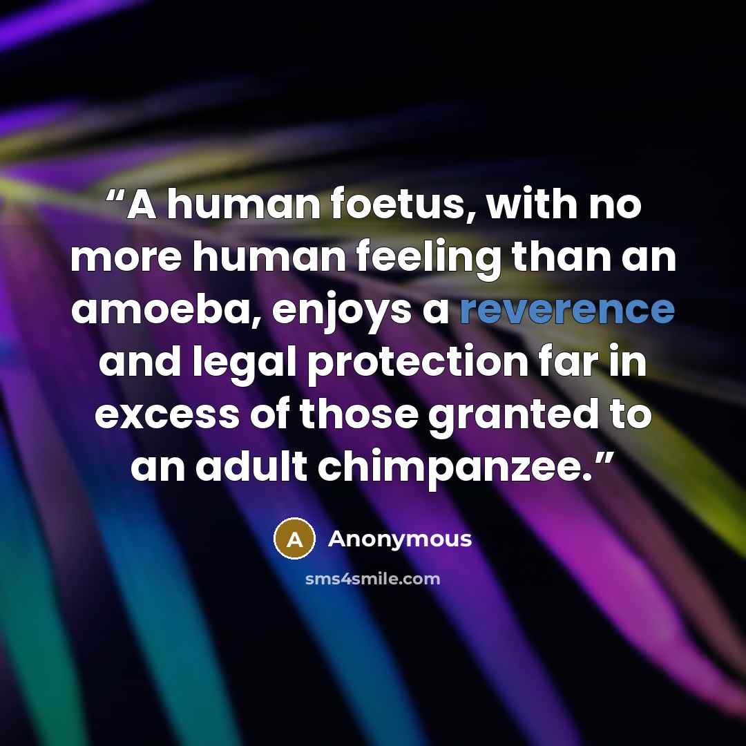 “A human foetus, with no more human feeling than an amoeba, enjoys a reverence and legal protection far in excess of those granted to an adult chimpanzee.” quote by Anonymous