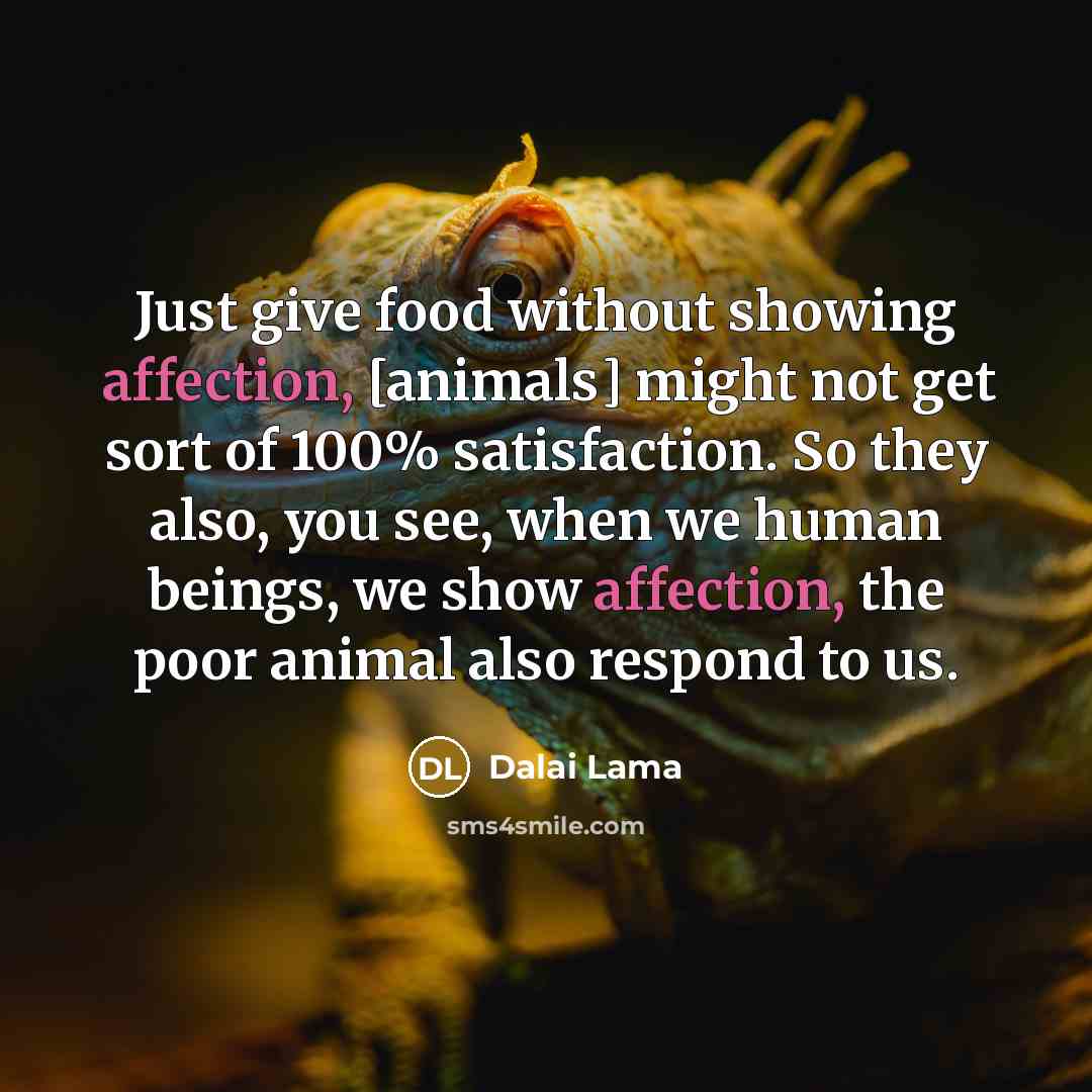 “Just give food without showing affection, [animals] might not get sort of 100% satisfaction. So they also, you see, when we human beings, we show affection, the poor animal also respond to us.” quote by Dalai Lama