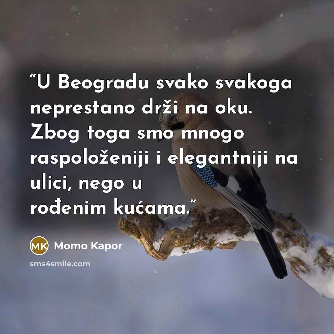 “U Beogradu svako svakoga neprestano drži na oku. Zbog toga smo mnogo raspoloženiji i elegantniji na ulici, nego u rođenim kućama.” quote by Momo Kapor