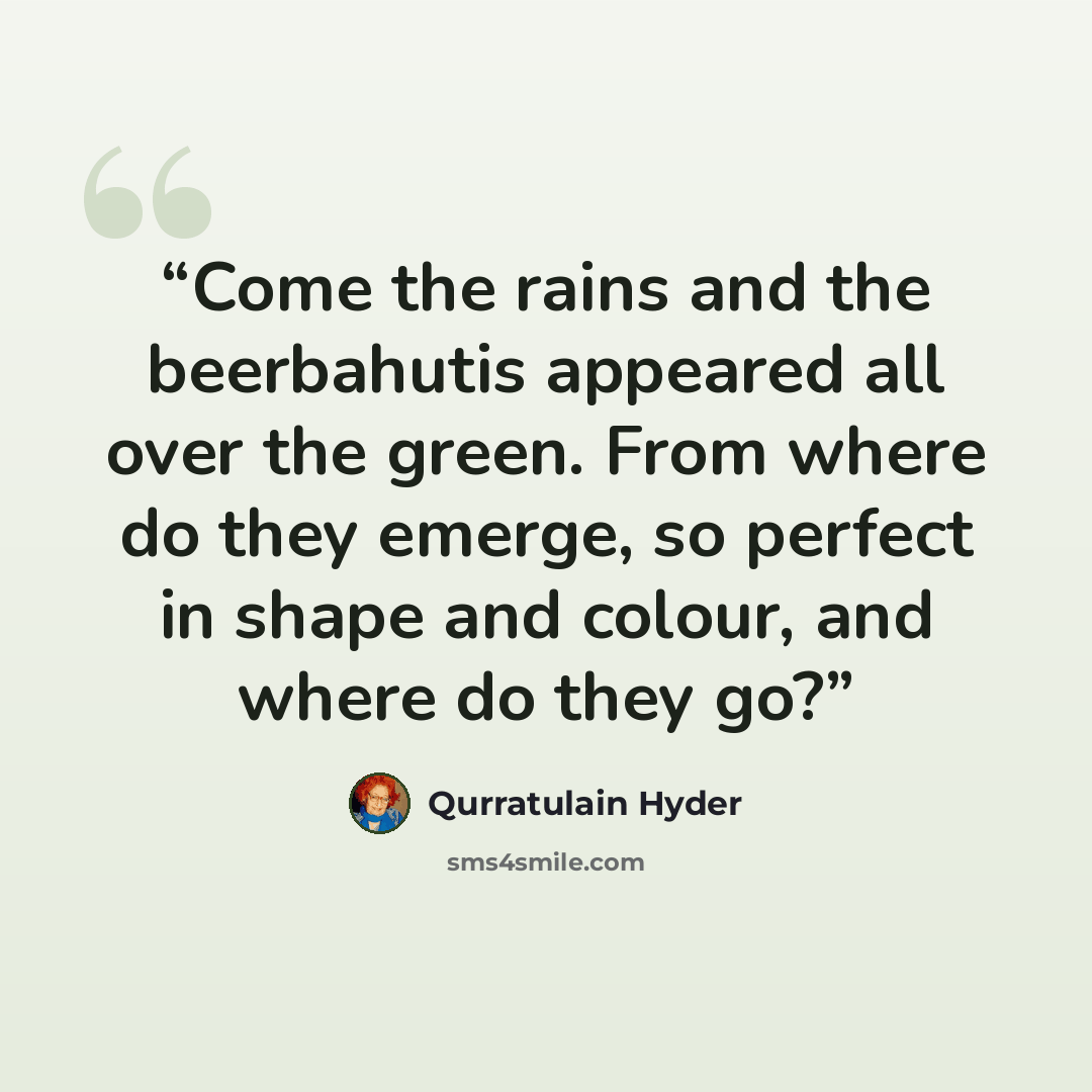 “Come the rains and the beerbahutis appeared all over the green. From where do they emerge, so perfect in shape and colour, and where do they go?” quote by Qurratulain Hyder