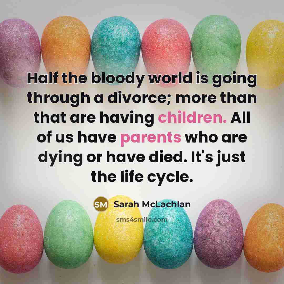 “Half the bloody world is going through a divorce; more than that are having children. All of us have parents who are dying or have died. It's just the life cycle.” quote by Sarah McLachlan