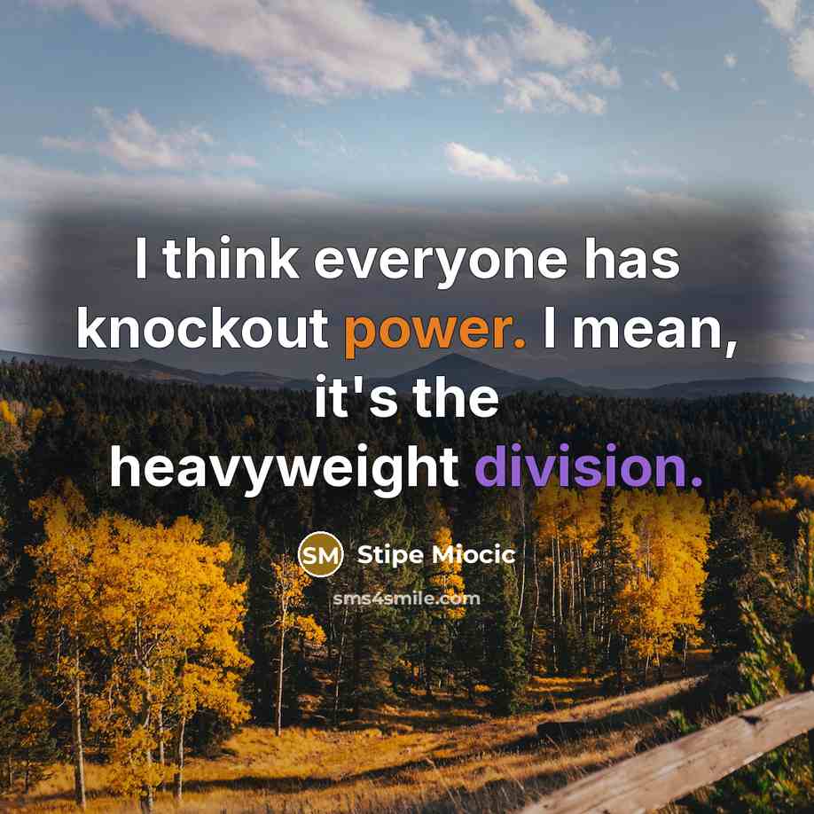 “I think everyone has knockout power. I mean, it's the heavyweight division.” quote by Stipe Miocic