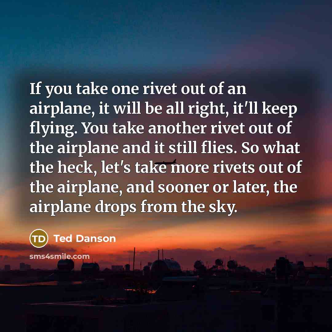 “If you take one rivet out of an airplane, it will be all right, it'll keep flying. You take another rivet out of the airplane and it still flies. So what the heck, let's take more rivets out of the airplane, and sooner or later, the airplane drops from the sky.” quote by Ted Danson
