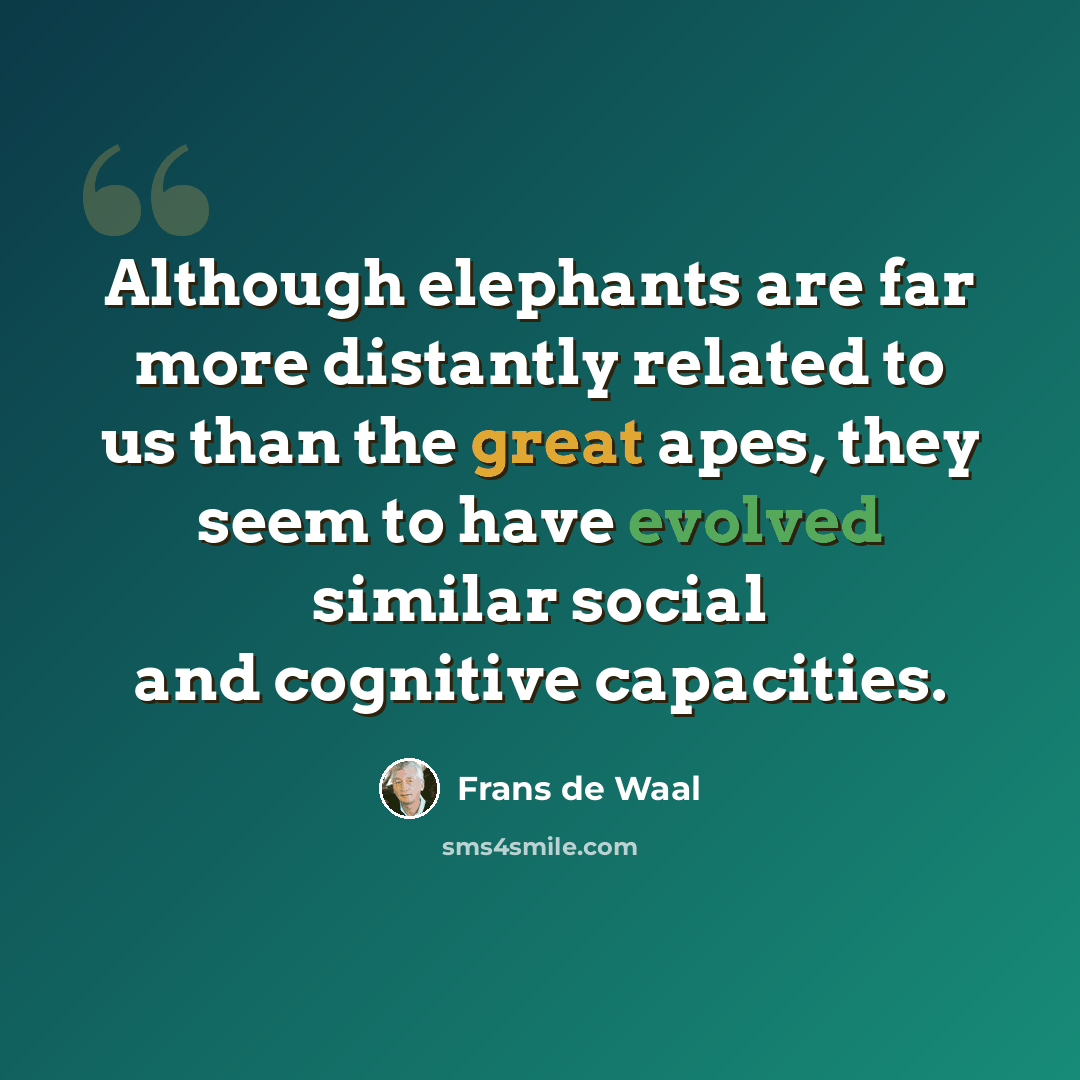 “Although elephants are far more distantly related to us than the great apes, they seem to have evolved similar social and cognitive capacities.” quote by Frans de Waal