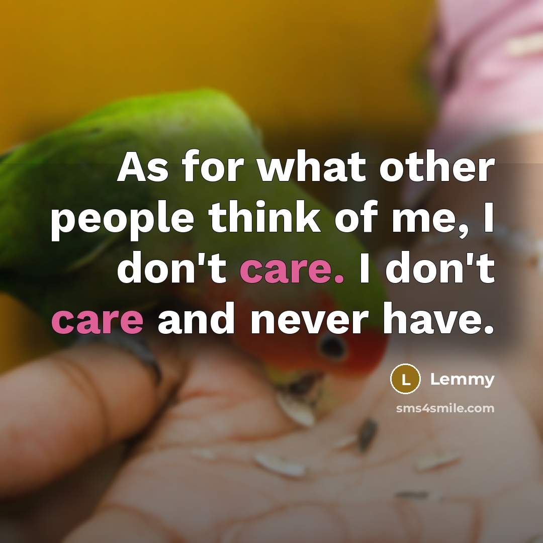 “As for what other people think of me, I don't care. I don't care and never have.” quote by Lemmy