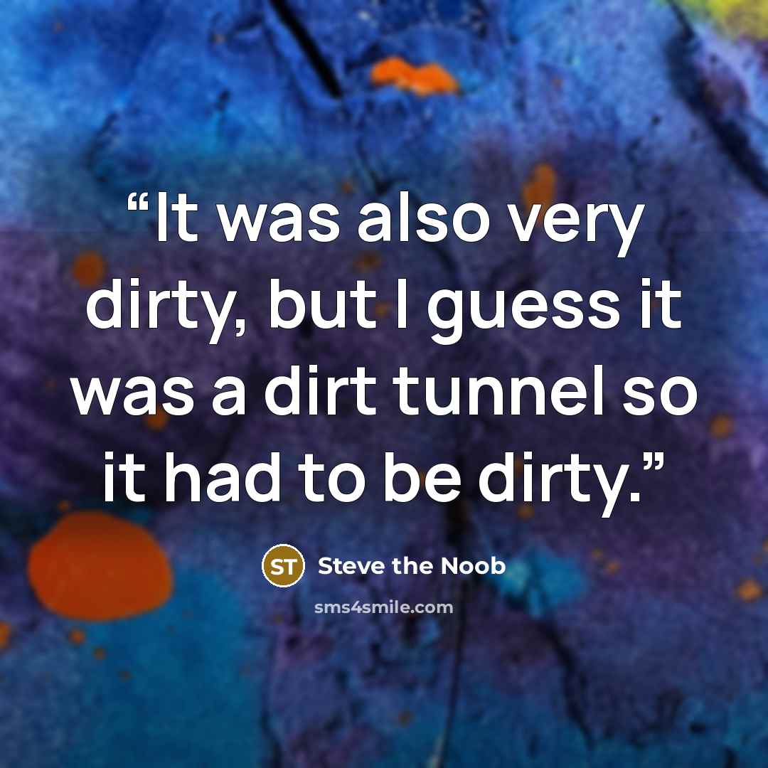 “It was also very dirty, but I guess it was a dirt tunnel so it had to be dirty.” quote by Steve the Noob