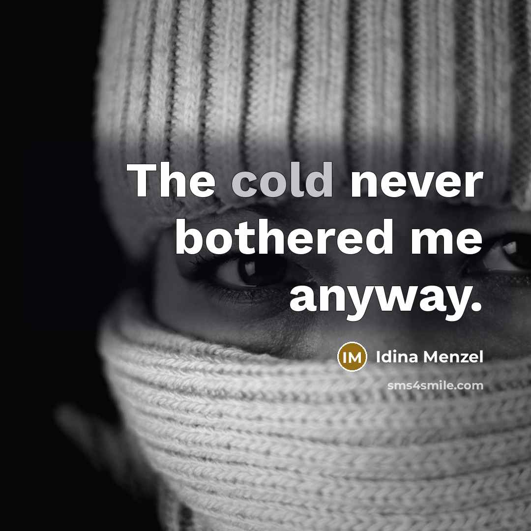 “The cold never bothered me anyway.” quote by Idina Menzel