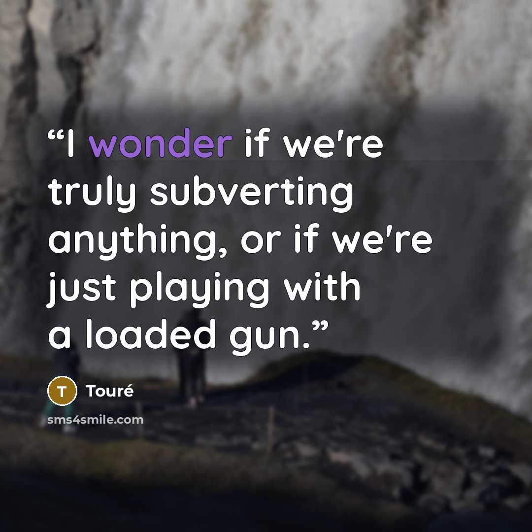 “I wonder if we're truly subverting anything, or if we're just playing with a loaded gun.” quote by Touré