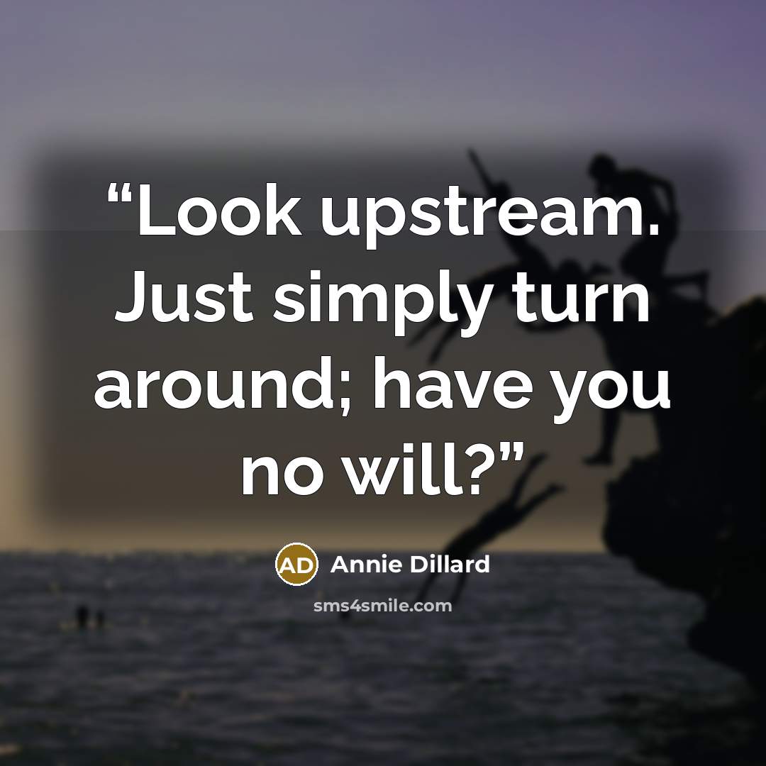 “Look upstream. Just simply turn around; have you no will?” quote by Annie Dillard