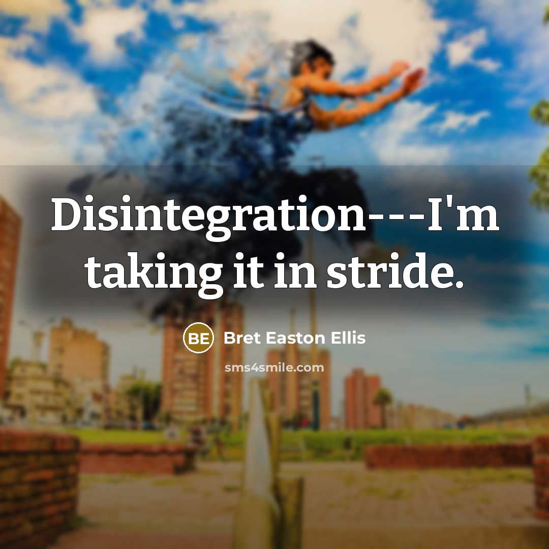 “Disintegration---I'm taking it in stride.” quote by Bret Easton Ellis
