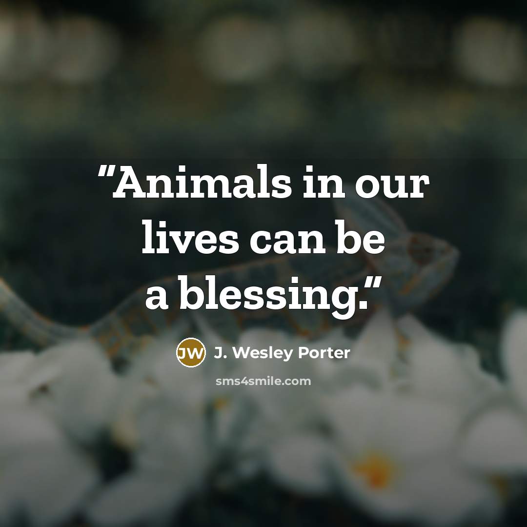 “Animals in our lives can be a blessing.” quote by J. Wesley Porter