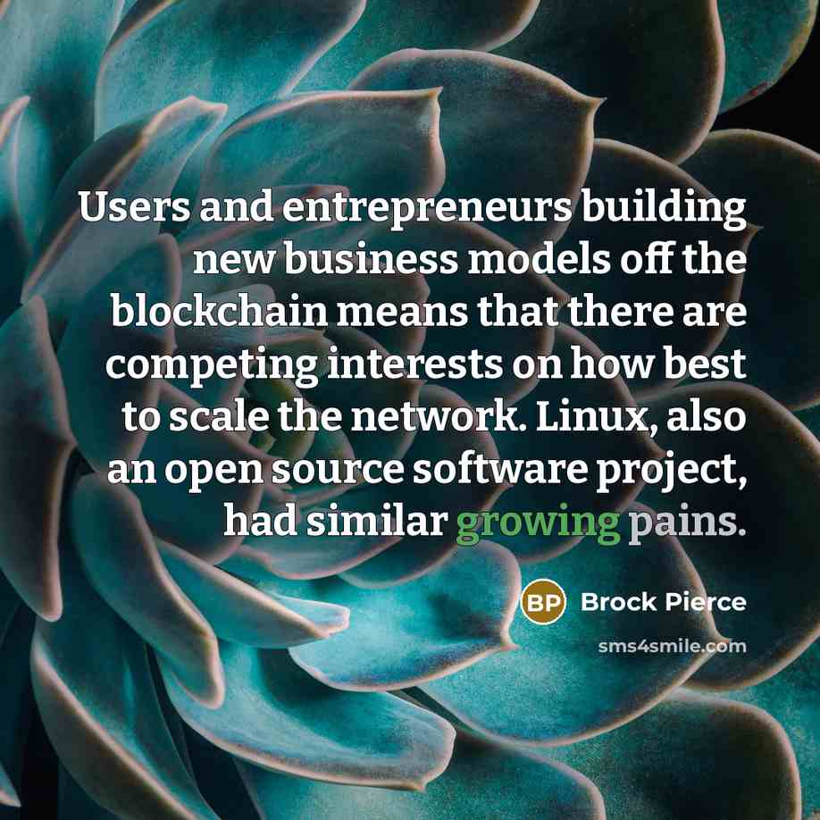“Users and entrepreneurs building new business models off the blockchain means that there are competing interests on how best to scale the network. Linux, also an open source software project, had similar growing pains.” quote by Brock Pierce