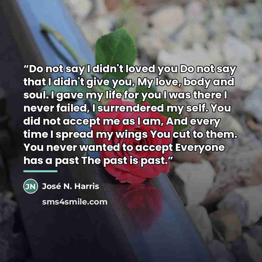 “Do not say I didn't loved you Do not say that I didn't give you, My love, body and soul. I gave my life for you I was there I never failed, I surrendered my self. You did not accept me as I am, And every time I spread my wings You cut to them. You never wanted to accept Everyone has a past The…” quote by José N. Harris