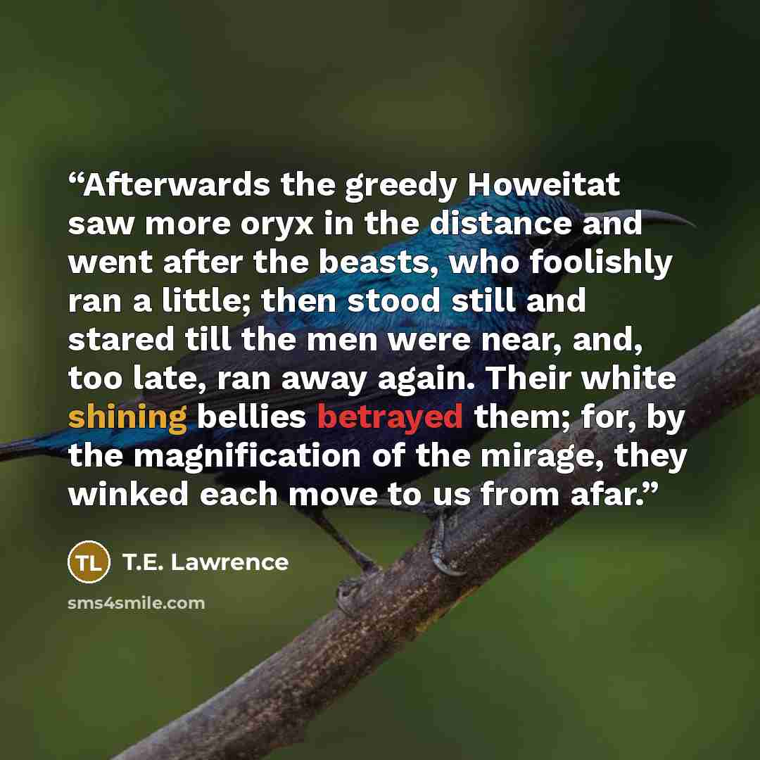 “Afterwards the greedy Howeitat saw more oryx in the distance and went after the beasts, who foolishly ran a little; then stood still and stared till the men were near, and, too late, ran away again. Their white shining bellies betrayed them; for, by the magnification of the mirage, they winked…” quote by T.E. Lawrence