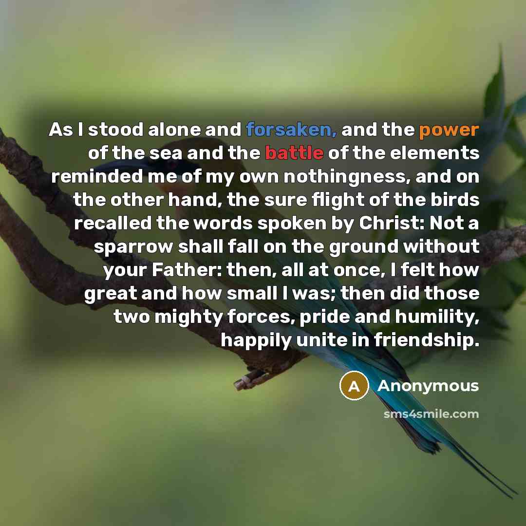 “As I stood alone and forsaken, and the power of the sea and the battle of the elements reminded me of my own nothingness, and on the other hand, the sure flight of the birds recalled the words spoken by Christ: Not a sparrow shall fall on the ground without your Father: then, all at once, I felt…” quote by Anonymous