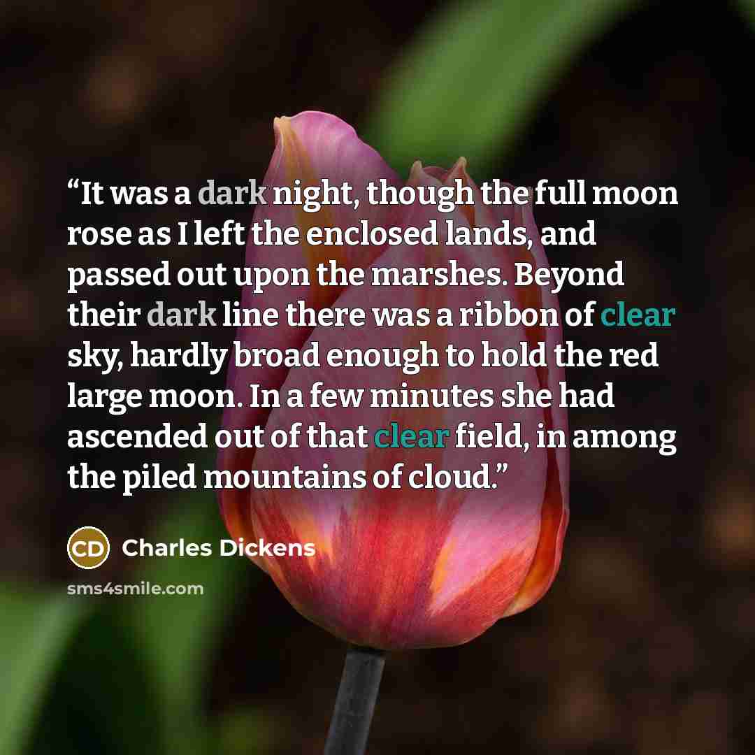 “It was a dark night, though the full moon rose as I left the enclosed lands, and passed out upon the marshes. Beyond their dark line there was a ribbon of clear sky, hardly broad enough to hold the red large moon. In a few minutes she had ascended out of that clear field, in among the piled…” quote by Charles Dickens