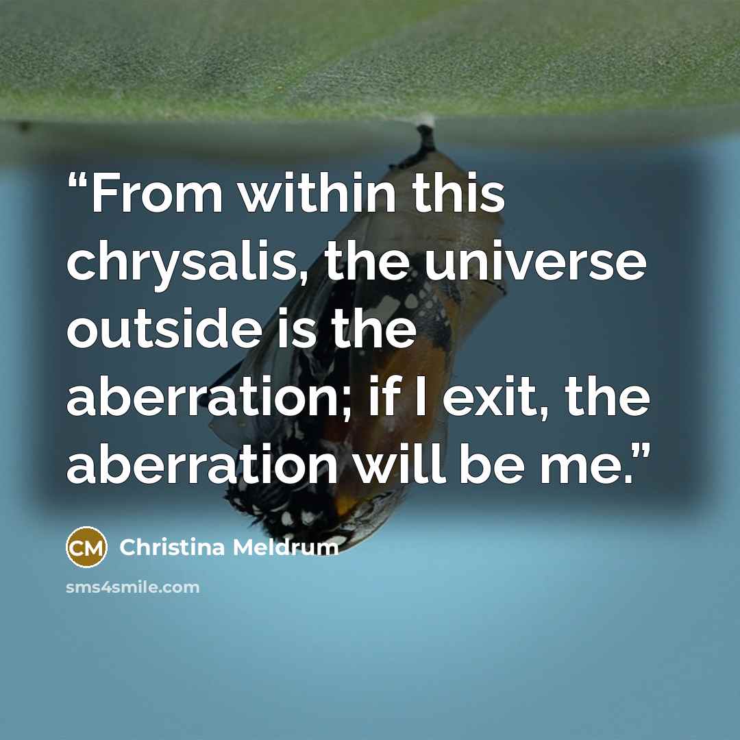 “From within this chrysalis, the universe outside is the aberration; if I exit, the aberration will be me.” quote by Christina Meldrum