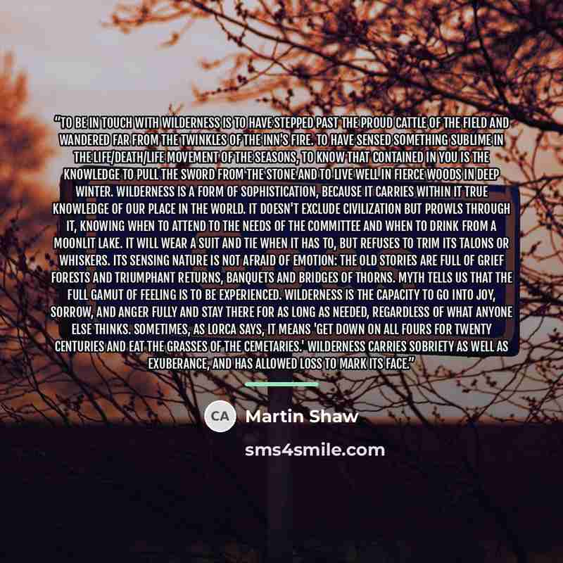 “To be in touch with wilderness is to have stepped past the proud cattle of the field and wandered far from the twinkles of the Inn's fire. To have sensed something sublime in the life/death/life movement of the seasons, to know that contained in you is the knowledge to pull the sword from the…” quote by Martin Shaw