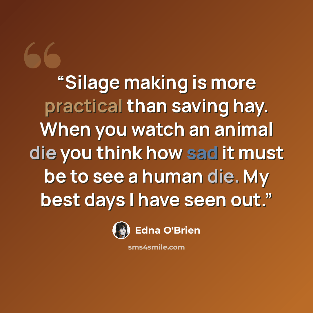 “Silage making is more practical than saving hay. When you watch an animal die you think how sad it must be to see a human die. My best days I have seen out.” quote by Edna O'Brien