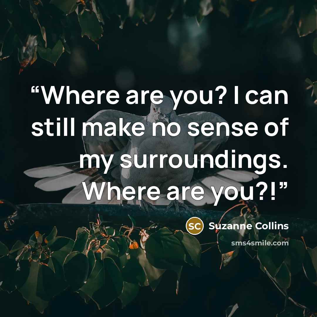 “Where are you? I can still make no sense of my surroundings. Where are you?!” quote by Suzanne Collins