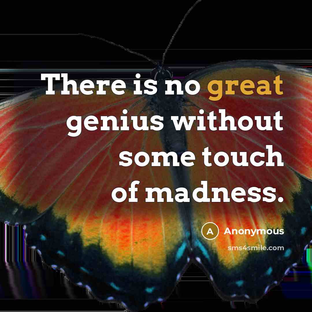 “There is no great genius without some touch of madness.” quote by Anonymous