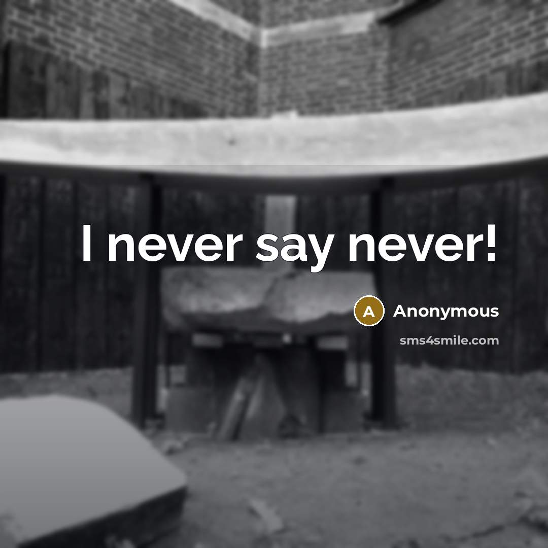 “I never say never!” quote by Anonymous