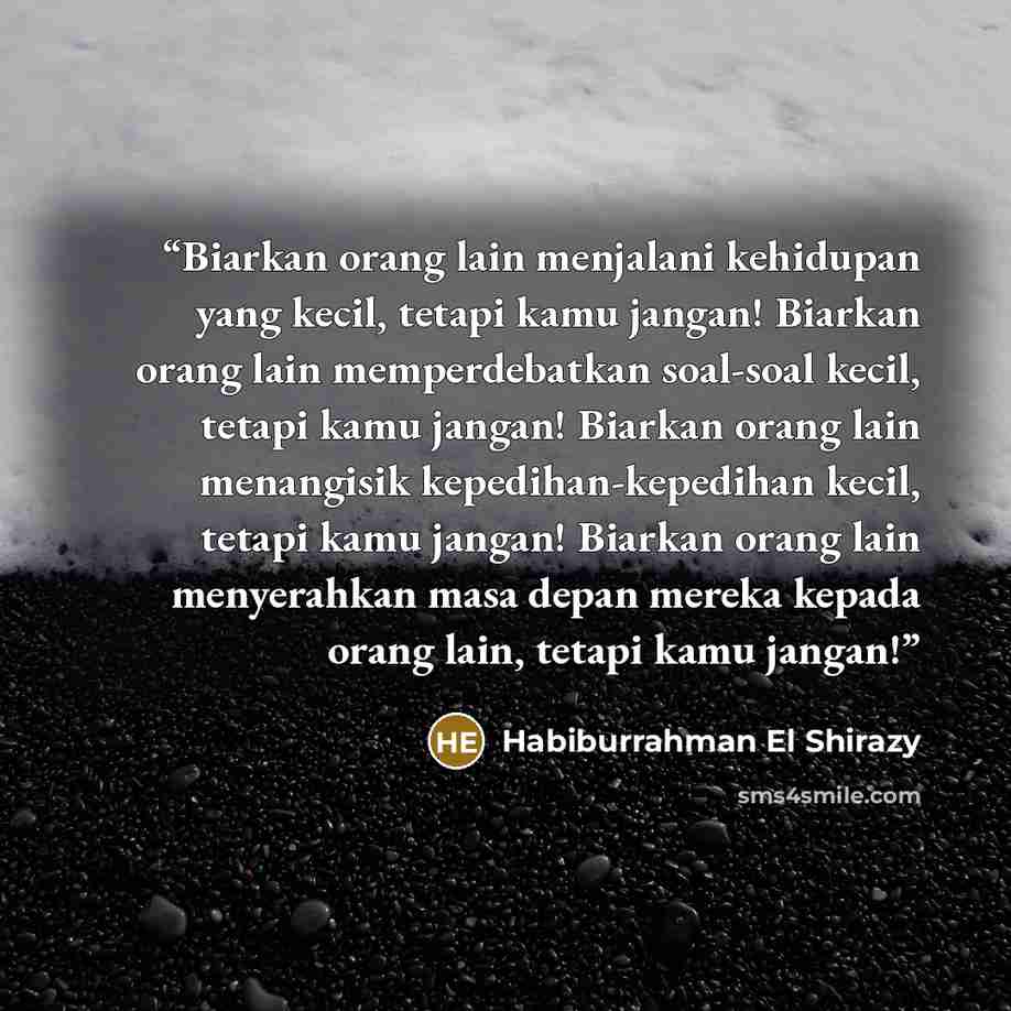 “Biarkan orang lain menjalani kehidupan yang kecil, tetapi kamu jangan! Biarkan orang lain memperdebatkan soal-soal kecil, tetapi kamu jangan! Biarkan orang lain menangisik kepedihan-kepedihan kecil, tetapi kamu jangan! Biarkan orang lain menyerahkan masa depan mereka kepada orang lain, tetapi kamu…” quote by Habiburrahman El Shirazy