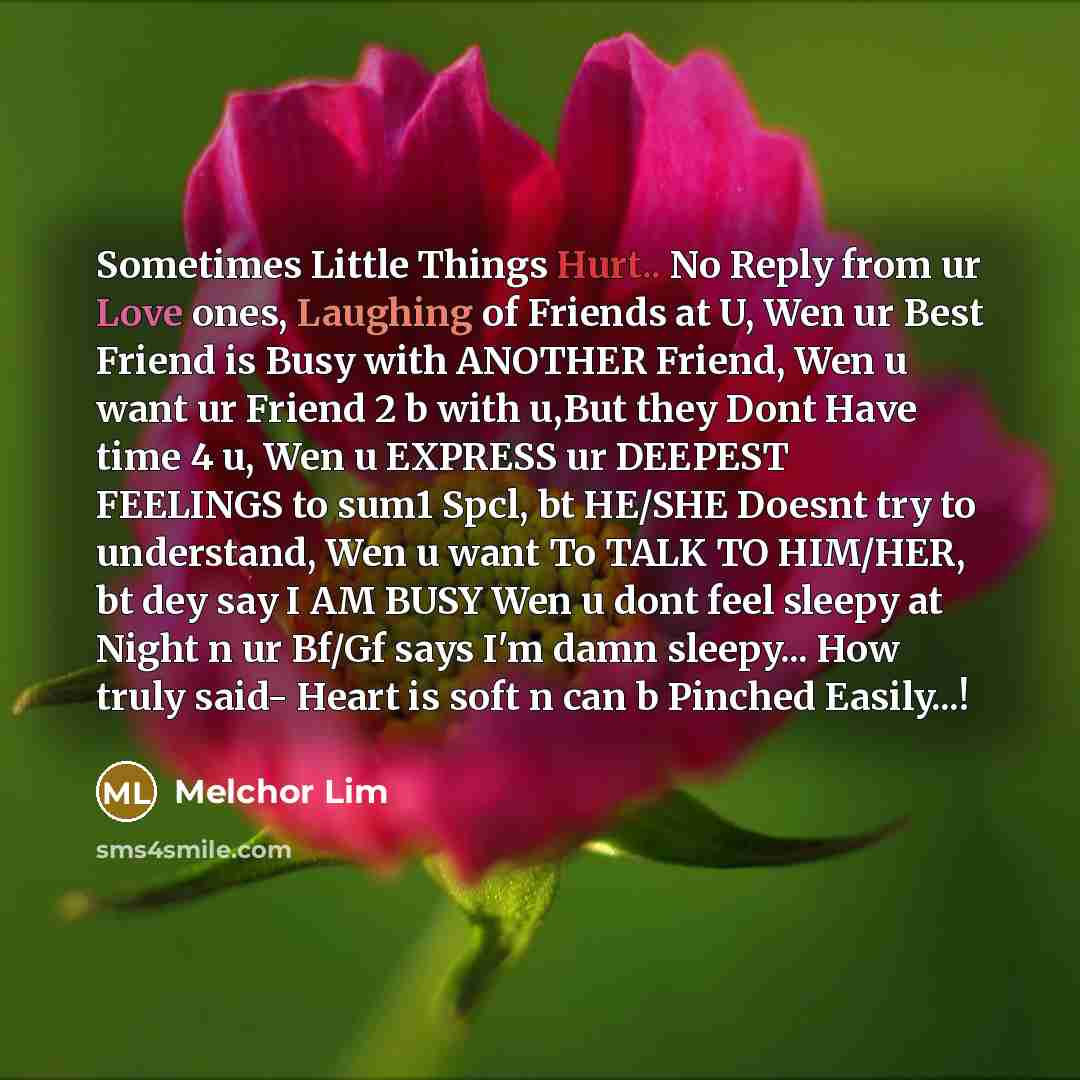 “Sometimes Little Things Hurt.. No Reply from ur Love ones, Laughing of Friends at U, Wen ur Best Friend is Busy with ANOTHER Friend, Wen u want ur Friend 2 b with u,But they Dont Have time 4 u, Wen u EXPRESS ur DEEPEST FEELINGS to sum1 Spcl, bt HE/SHE Doesnt try to understand, Wen u want To TALK…” quote by Melchor Lim