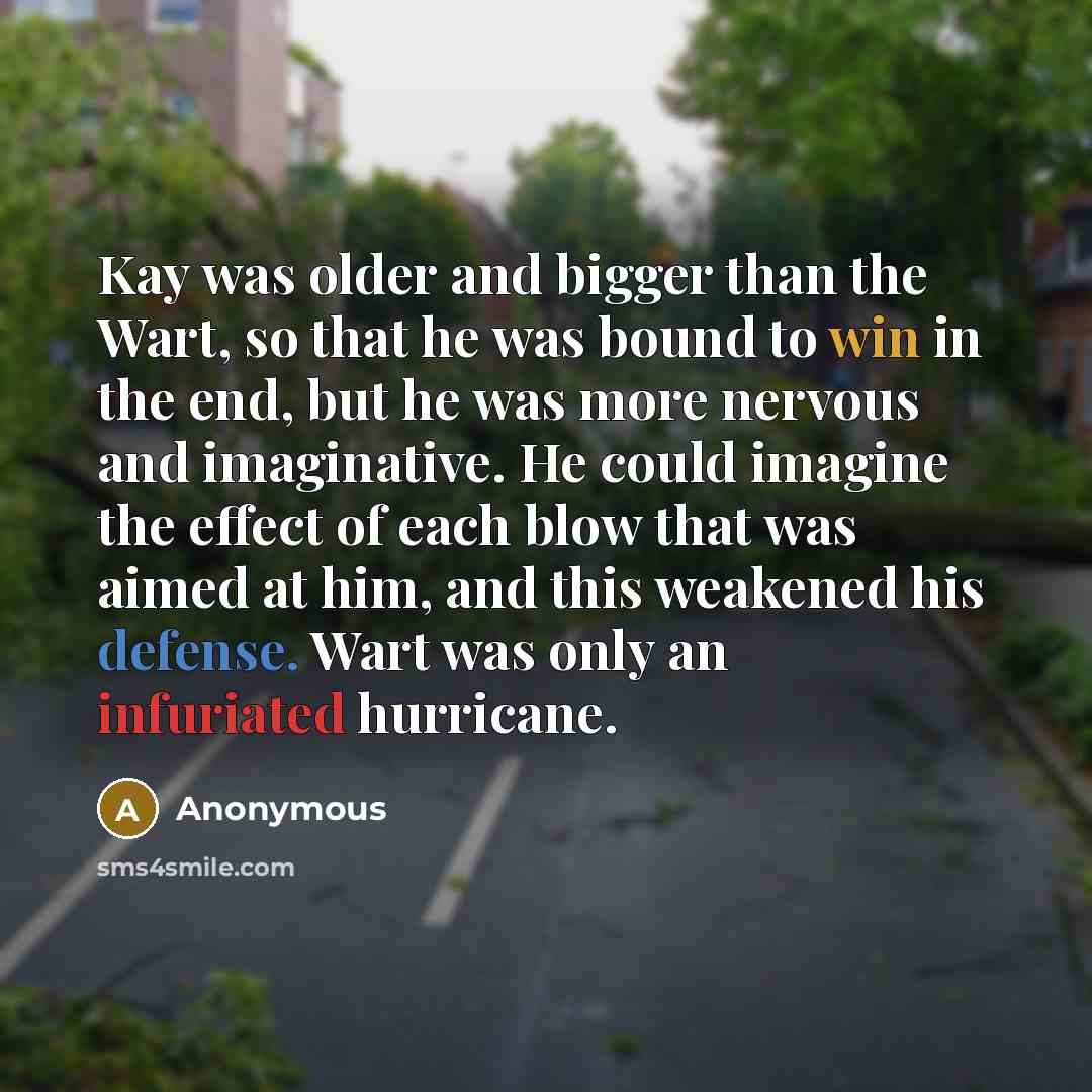 “Kay was older and bigger than the Wart, so that he was bound to win in the end, but he was more nervous and imaginative. He could imagine the effect of each blow that was aimed at him, and this weakened his defense. Wart was only an infuriated hurricane.” quote by Anonymous