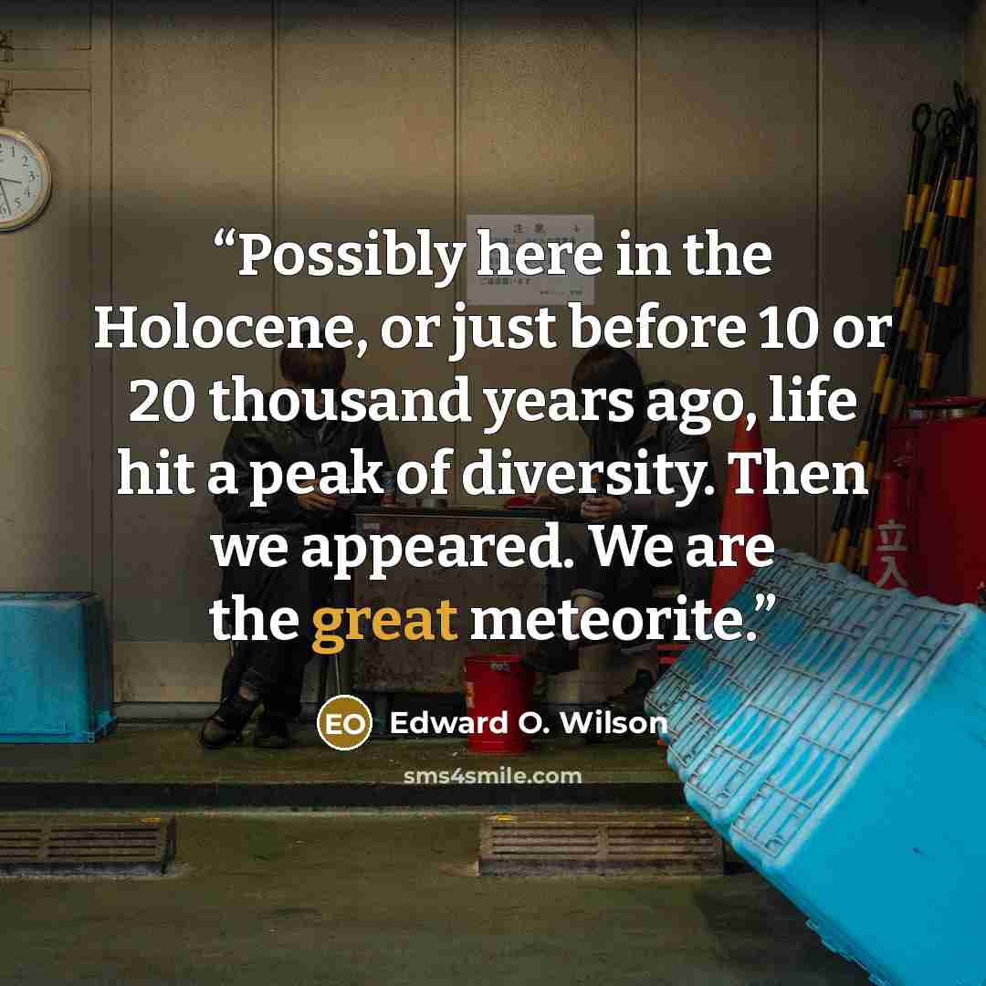 “Possibly here in the Holocene, or just before 10 or 20 thousand years ago, life hit a peak of diversity. Then we appeared. We are the great meteorite.” quote by Edward O. Wilson