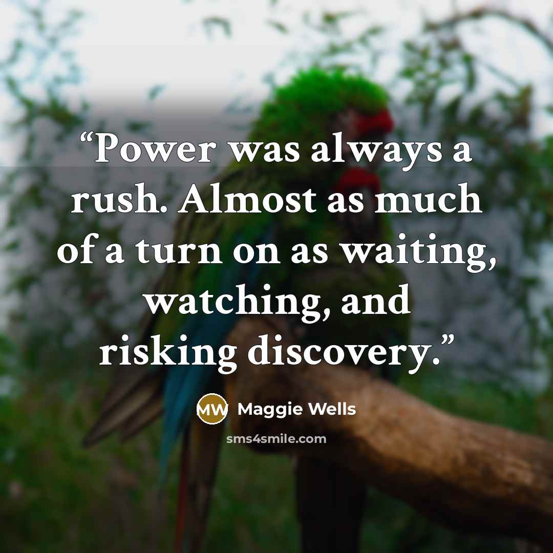 “Power was always a rush. Almost as much of a turn on as waiting, watching, and risking discovery.” quote by Maggie Wells