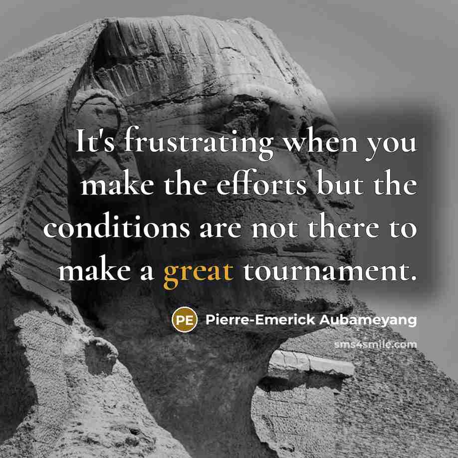 “It's frustrating when you make the efforts but the conditions are not there to make a great tournament.” quote by Pierre-Emerick Aubameyang