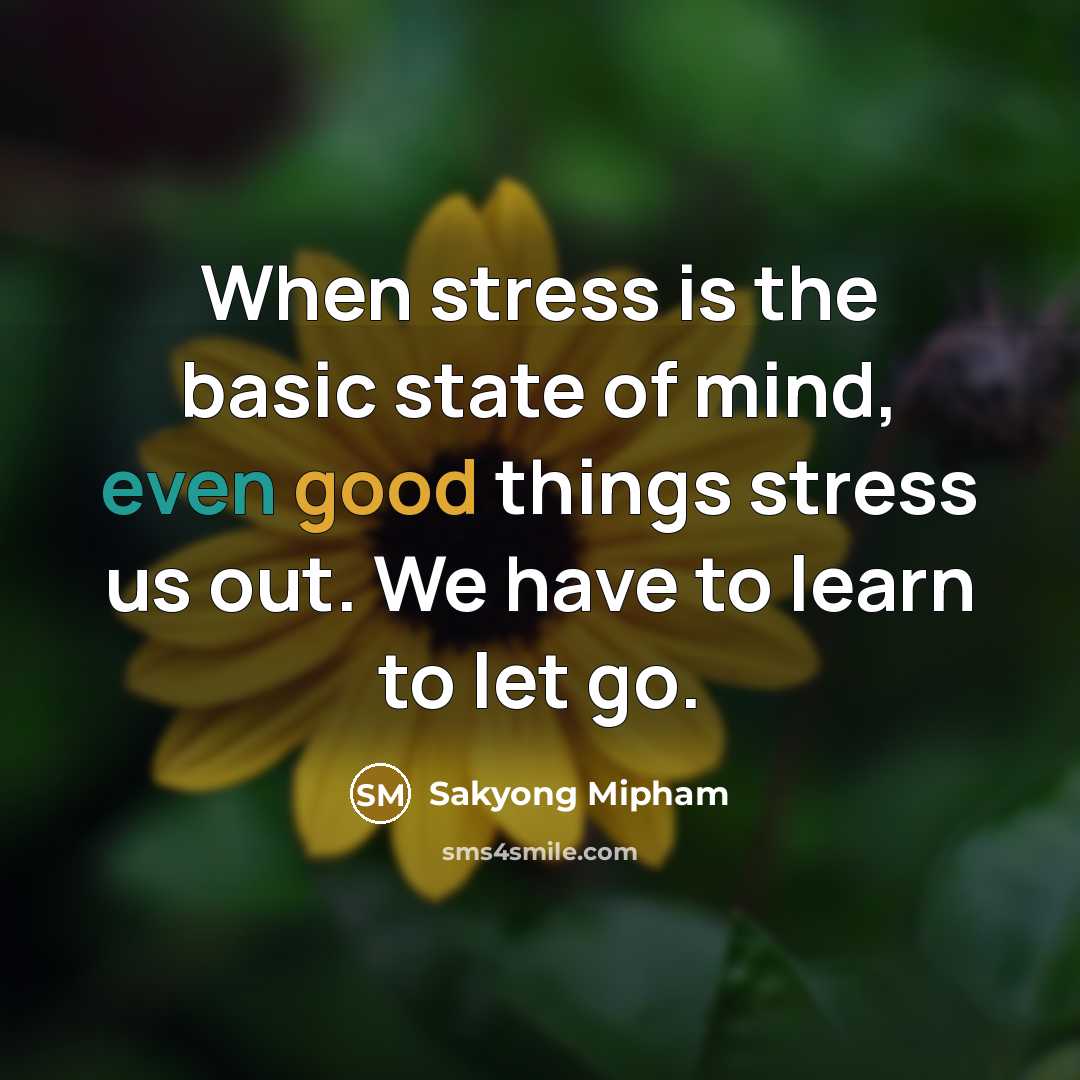 “When stress is the basic state of mind, even good things stress us out. We have to learn to let go.” quote by Sakyong Mipham