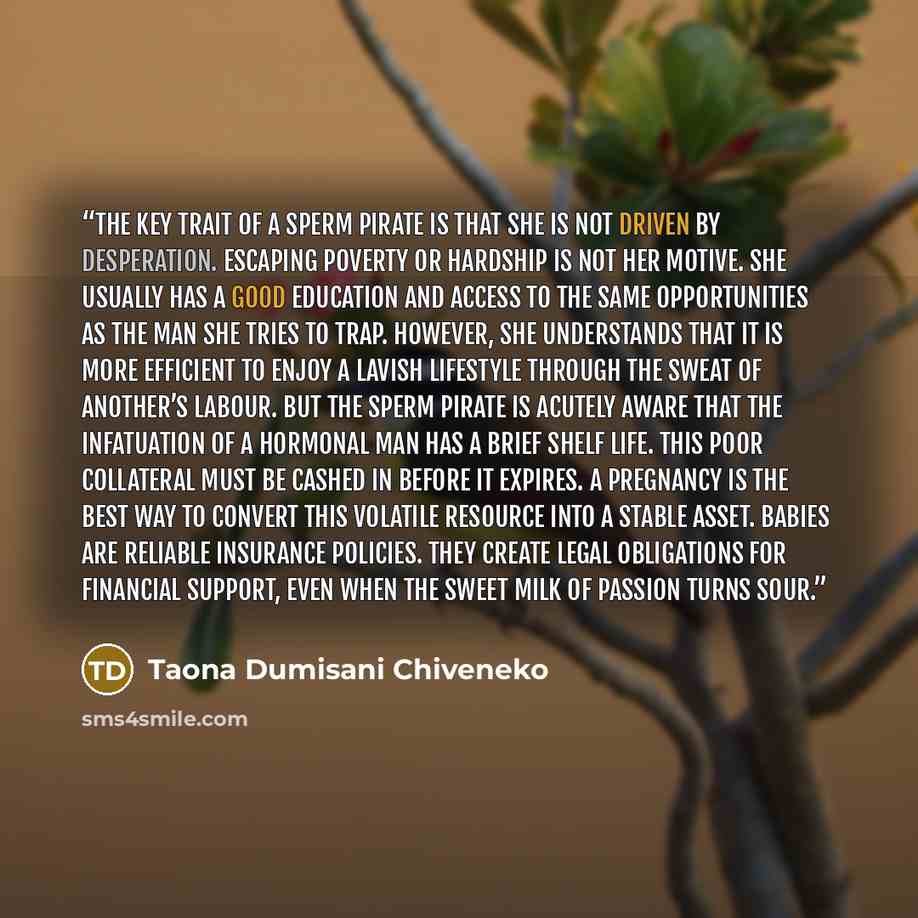 “The key trait of a Sperm Pirate is that she is not driven by desperation. Escaping poverty or hardship is not her motive. She usually has a good education and access to the same opportunities as the man she tries to trap. However, she understands that it is more efficient to enjoy a lavish…” quote by Taona Dumisani Chiveneko