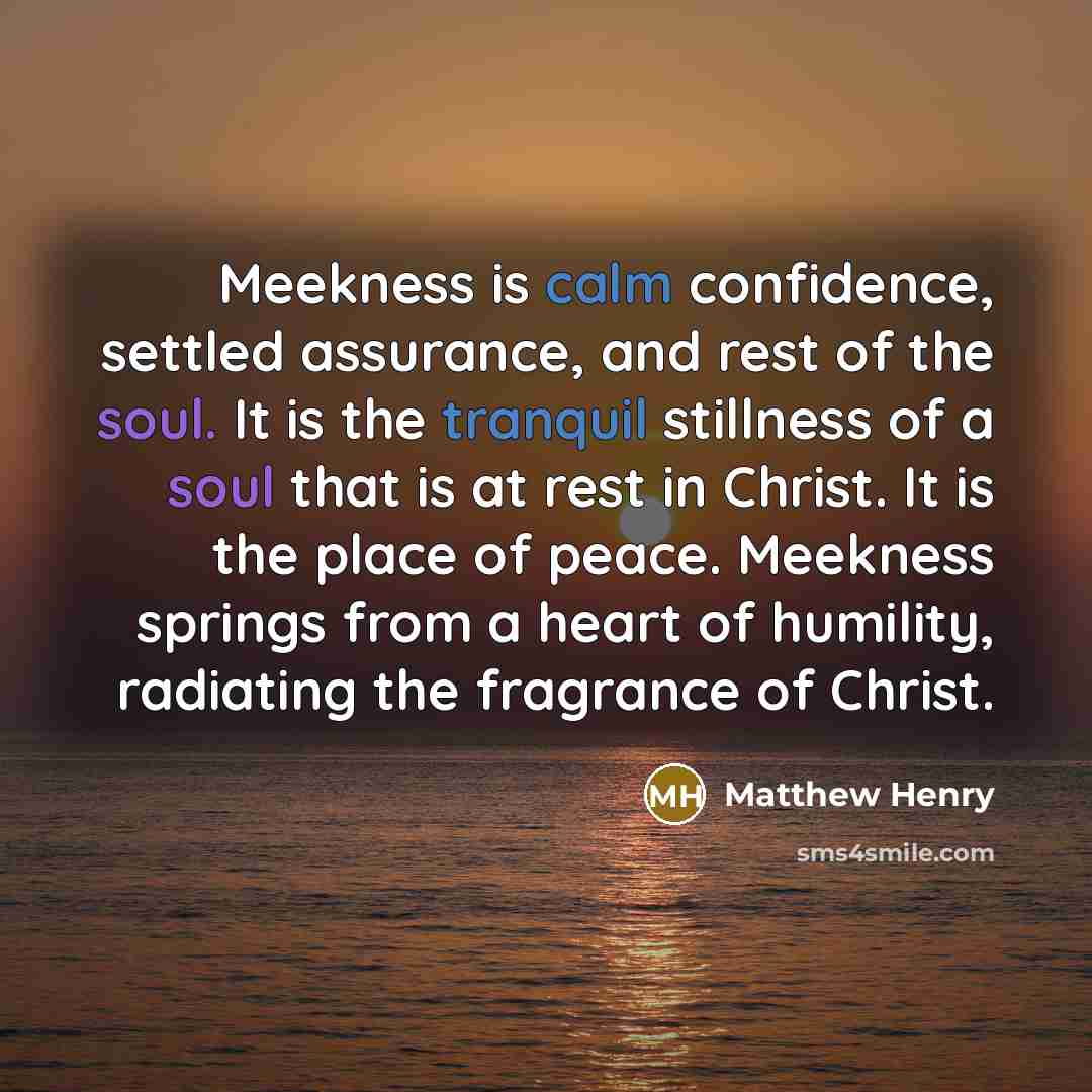 “Meekness is calm confidence, settled assurance, and rest of the soul. It is the tranquil stillness of a soul that is at rest in Christ. It is the place of peace. Meekness springs from a heart of humility, radiating the fragrance of Christ.” quote by Matthew Henry