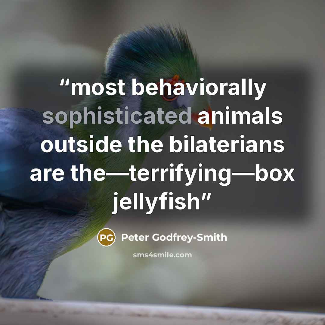 “most behaviorally sophisticated animals outside the bilaterians are the—terrifying—box jellyfish” quote by Peter Godfrey-Smith
