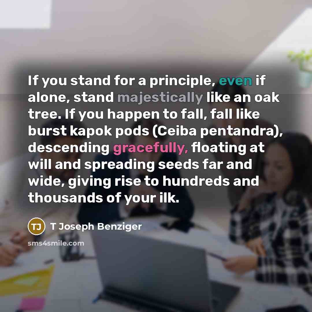 “If you stand for a principle, even if alone, stand majestically like an oak tree. If you happen to fall, fall like burst kapok pods (Ceiba pentandra), descending gracefully, floating at will and spreading seeds far and wide, giving rise to hundreds and thousands of your ilk.” quote by T Joseph Benziger