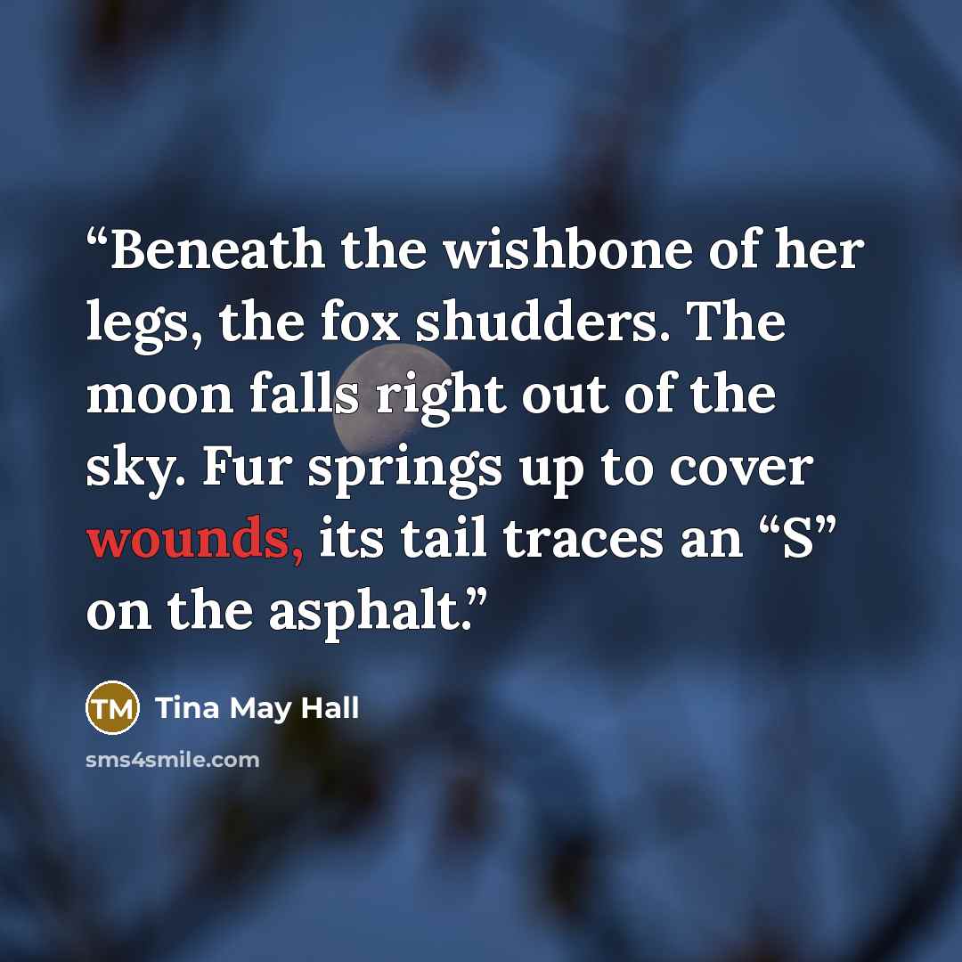 “Beneath the wishbone of her legs, the fox shudders. The moon falls right out of the sky. Fur springs up to cover wounds, its tail traces an “S” on the asphalt.” quote by Tina May Hall
