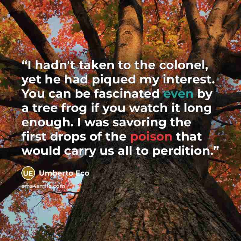 “I hadn't taken to the colonel, yet he had piqued my interest. You can be fascinated even by a tree frog if you watch it long enough. I was savoring the first drops of the poison that would carry us all to perdition.” quote by Umberto Eco