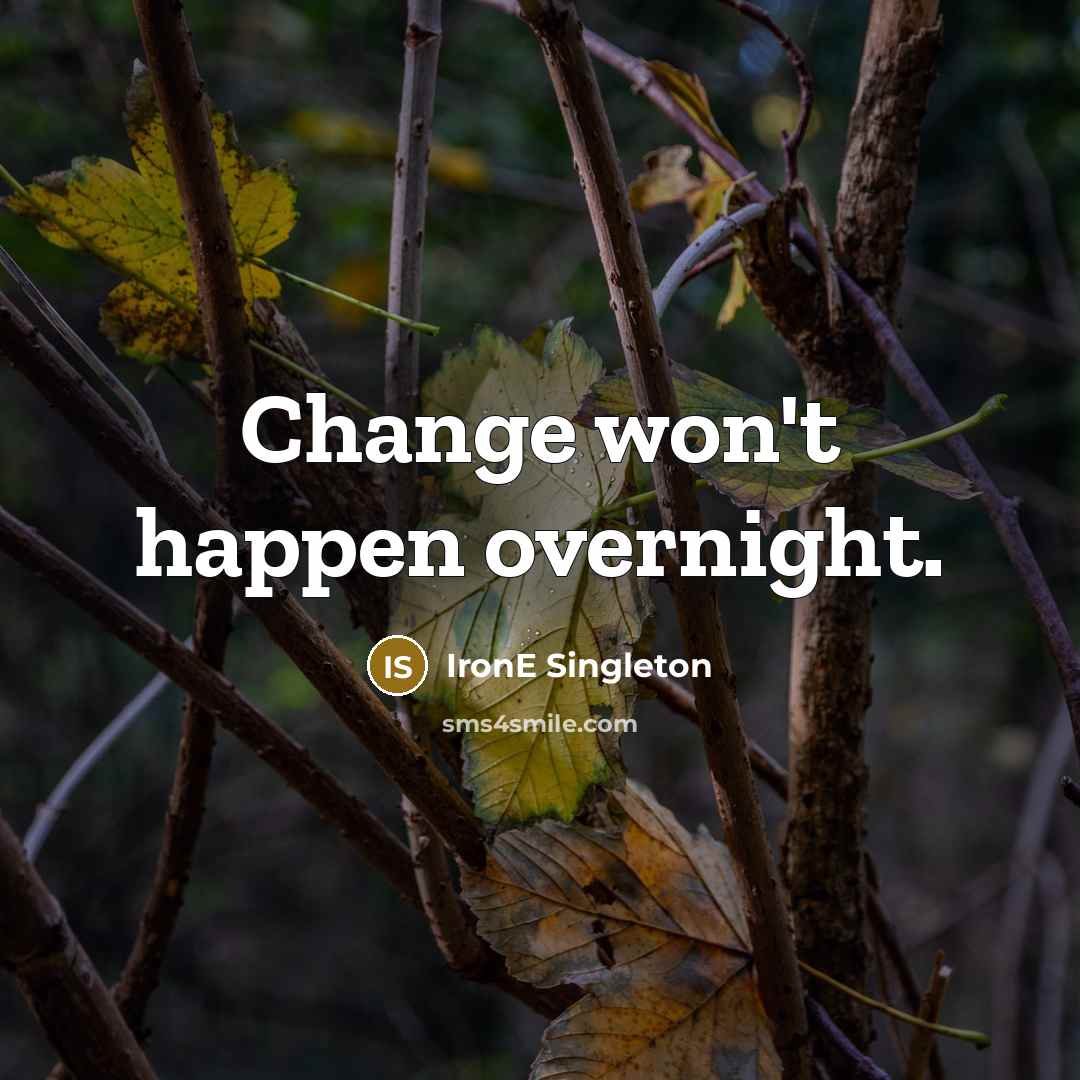“Change won't happen overnight.” quote by IronE Singleton