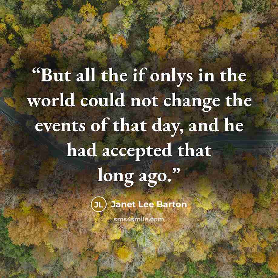 “But all the if onlys in the world could not change the events of that day, and he had accepted that long ago.” quote by Janet Lee Barton
