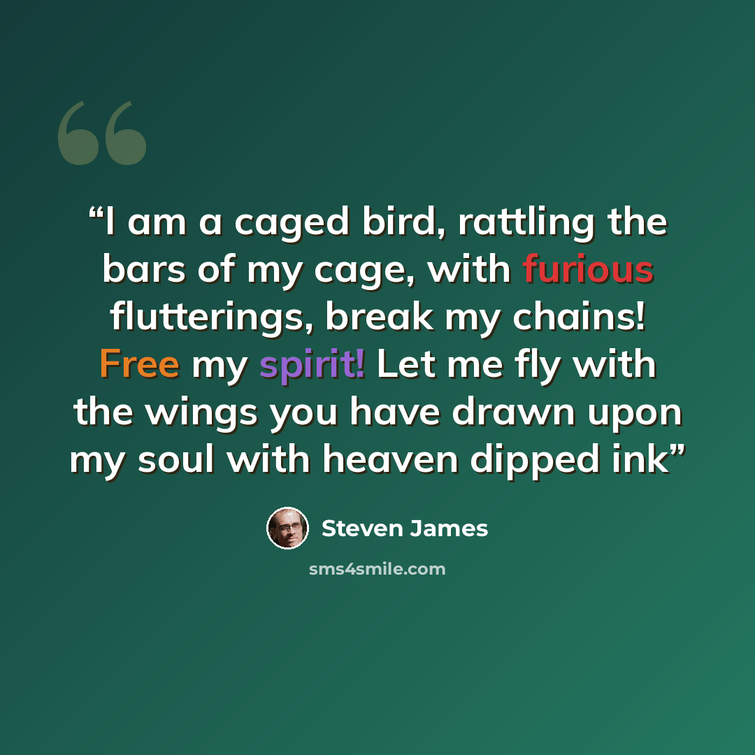 “I am a caged bird, rattling the bars of my cage, with furious flutterings, break my chains! Free my spirit! Let me fly with the wings you have drawn upon my soul with heaven dipped ink” quote by Steven James