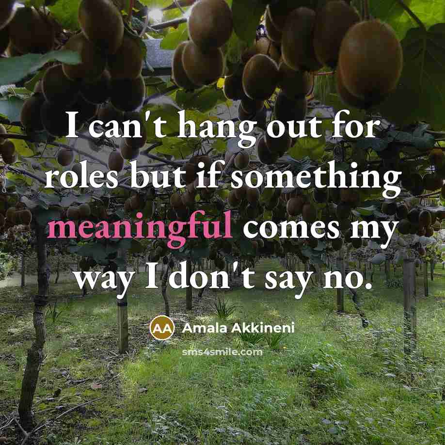 “I can't hang out for roles but if something meaningful comes my way I don't say no.” quote by Amala Akkineni