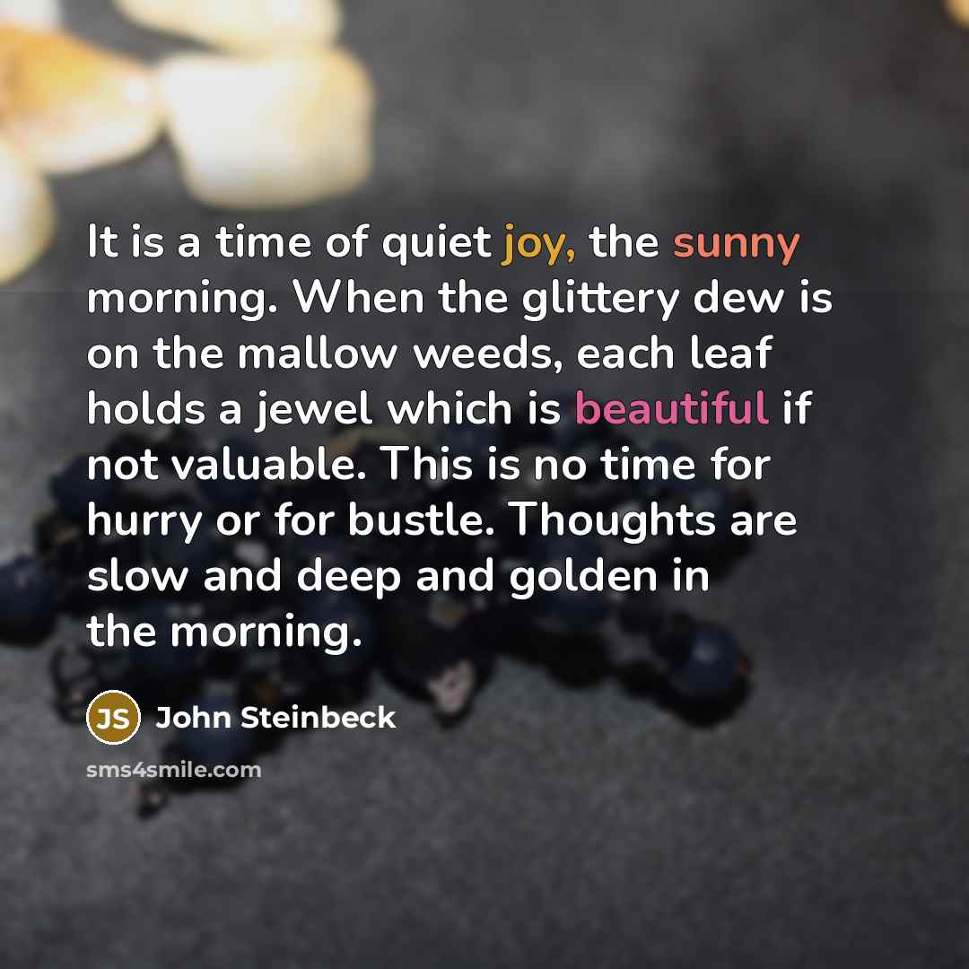 “It is a time of quiet joy, the sunny morning. When the glittery dew is on the mallow weeds, each leaf holds a jewel which is beautiful if not valuable. This is no time for hurry or for bustle. Thoughts are slow and deep and golden in the morning.” quote by John Steinbeck