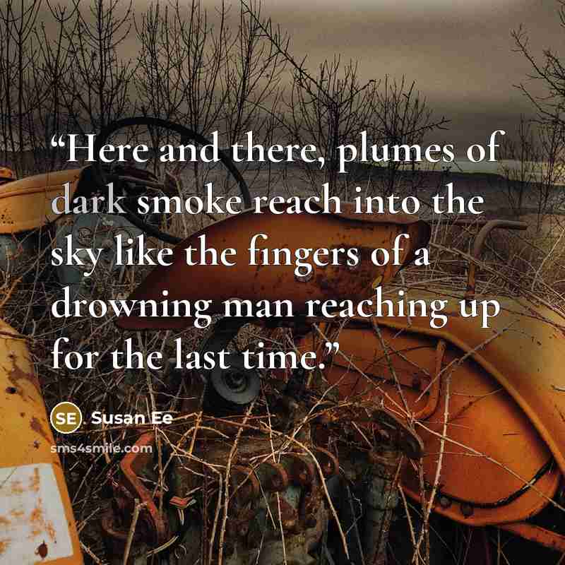 “Here and there, plumes of dark smoke reach into the sky like the fingers of a drowning man reaching up for the last time.” quote by Susan Ee