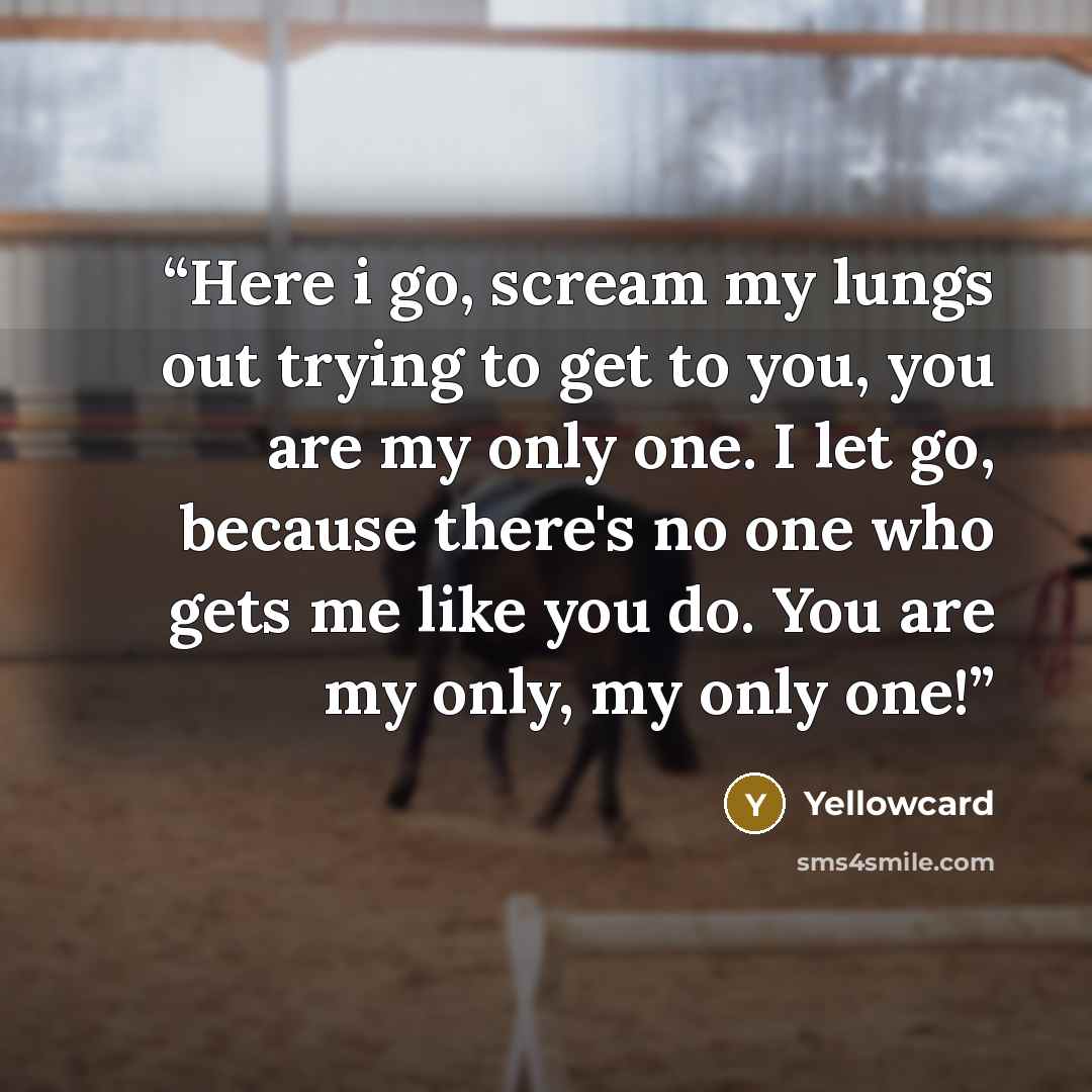 “Here i go, scream my lungs out trying to get to you, you are my only one. I let go, because there's no one who gets me like you do. You are my only, my only one!” quote by Yellowcard