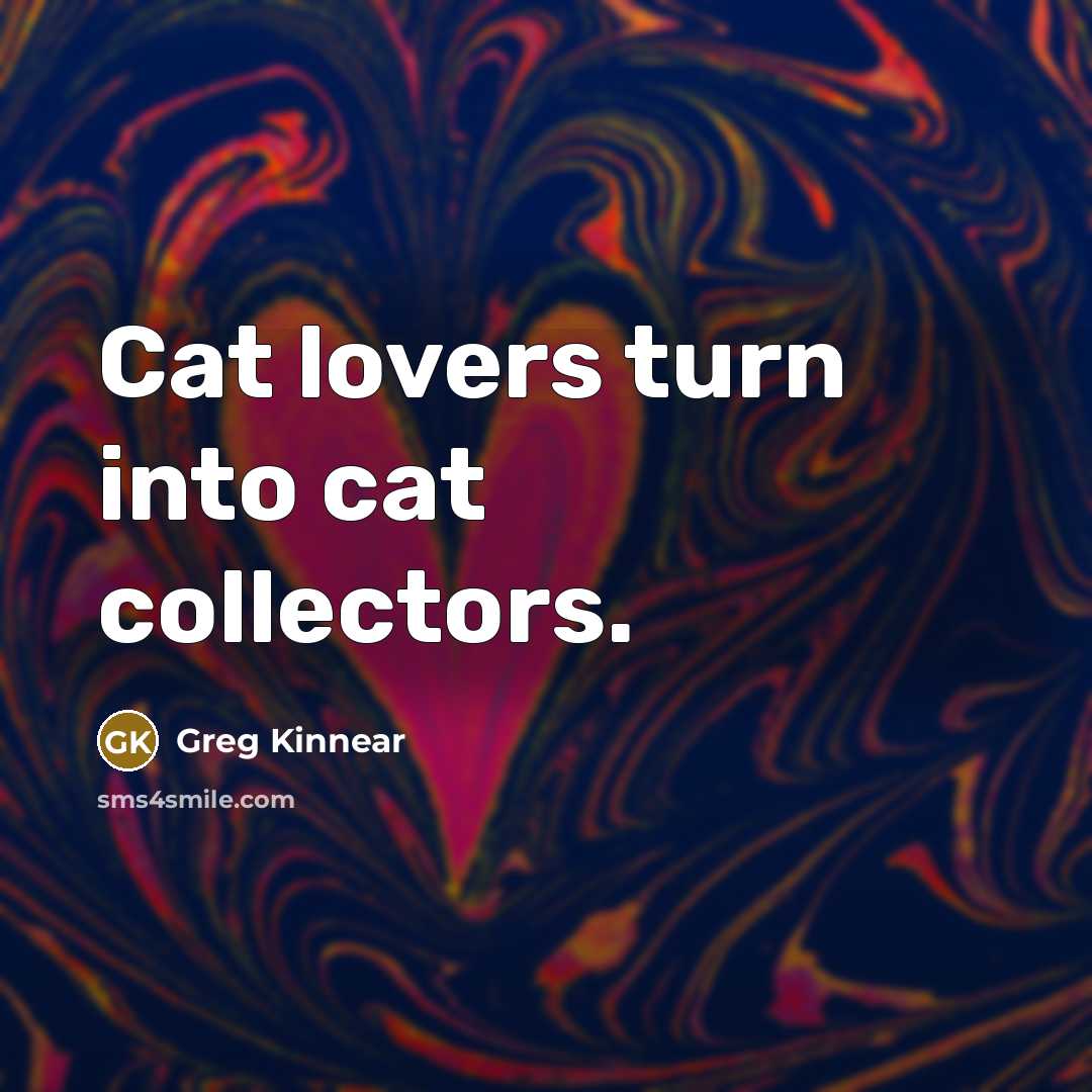 “Cat lovers turn into cat collectors.” quote by Greg Kinnear